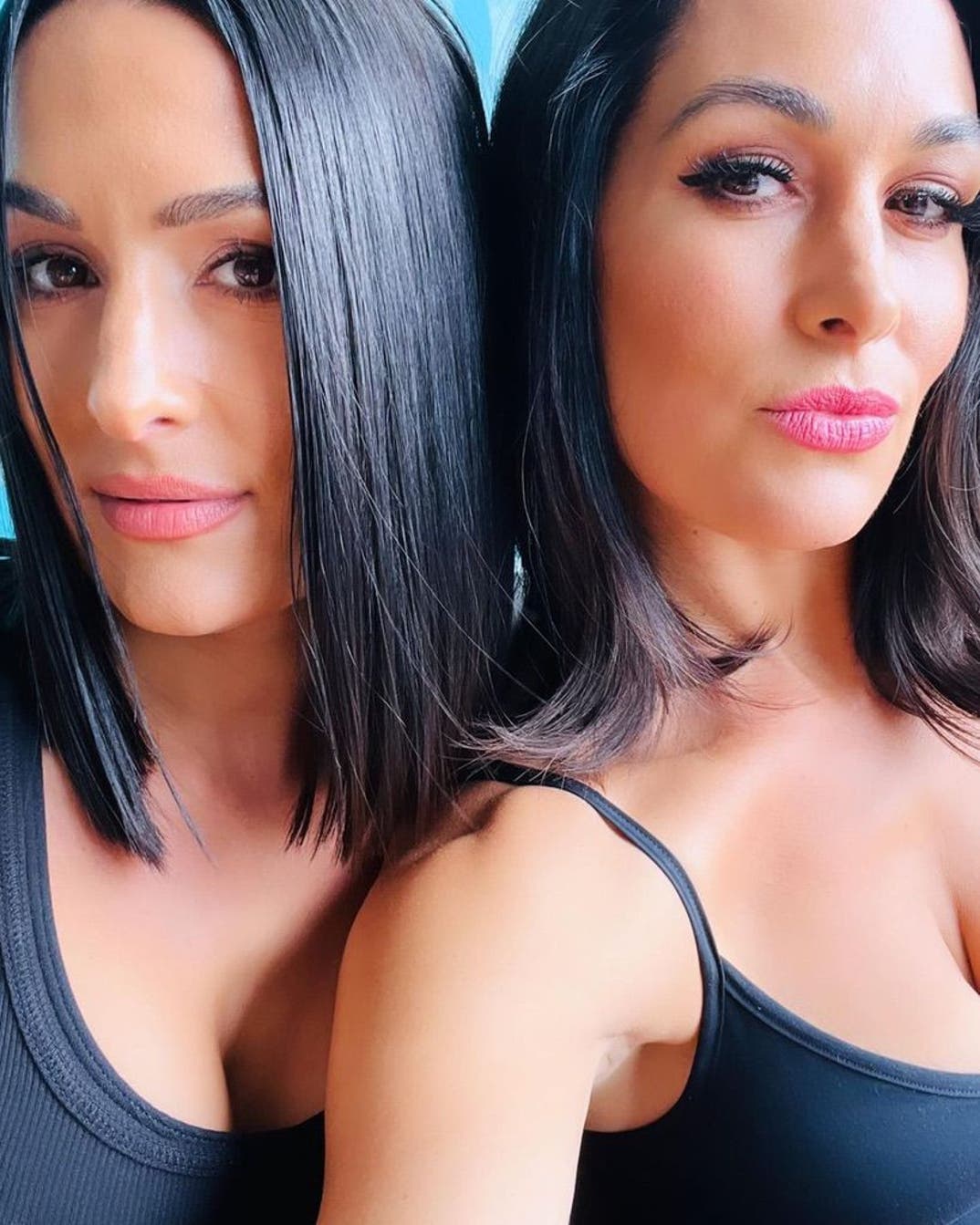 Nikki and Brie Bella