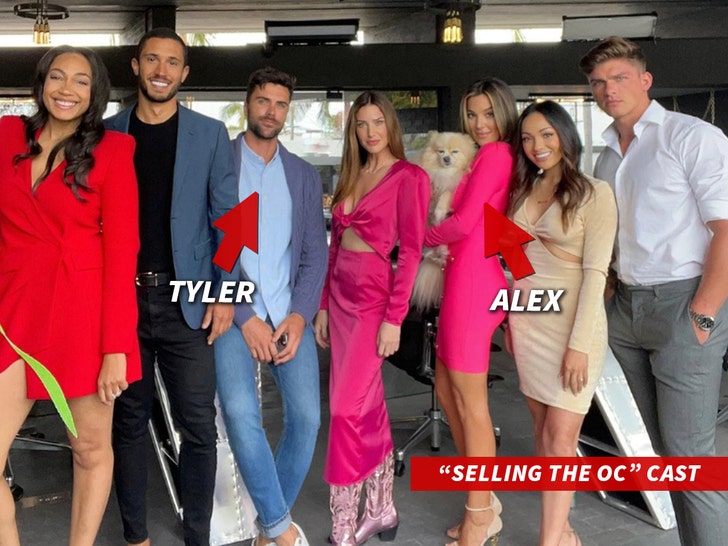 Are Tyler Stanaland, Alex Hall Still Together From Selling The OC
