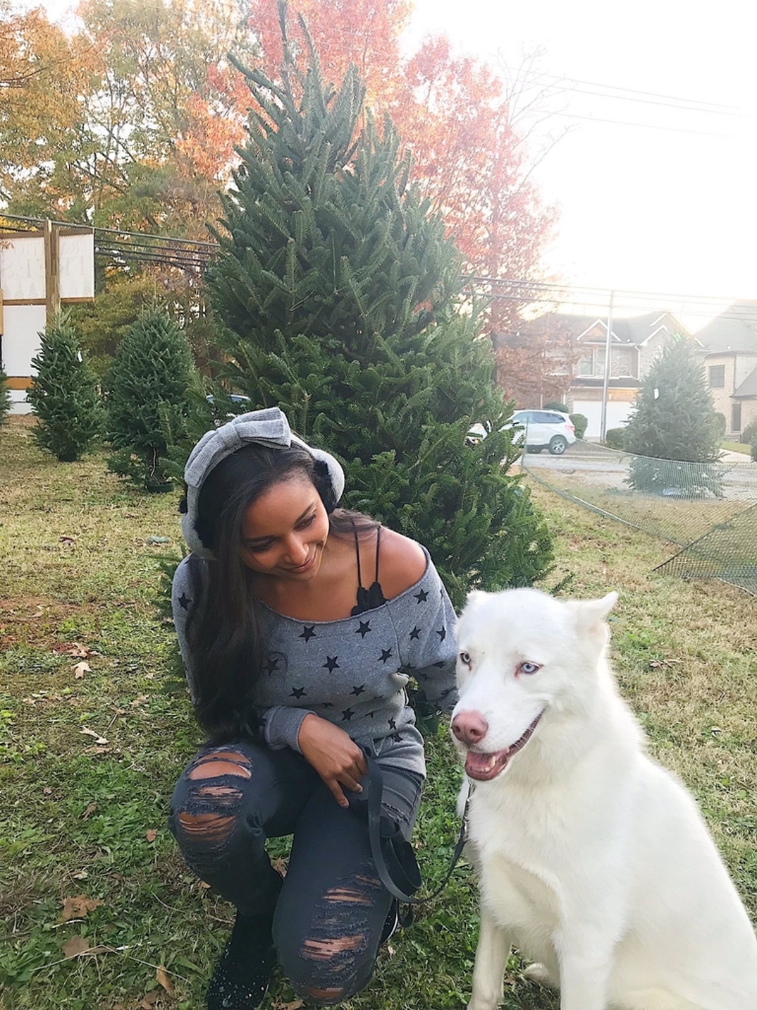 Cody Rhodes Dog 7