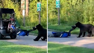 Bear Steals Golfer's Bag In Wild Scene On Canadian Course