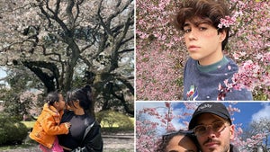 Celebs With Cherry Blossoms ... Bloom, Baby, Bloom!