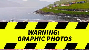 Faroe Islands Controversial Dolphin Slaughter Graphic Content Launch 2