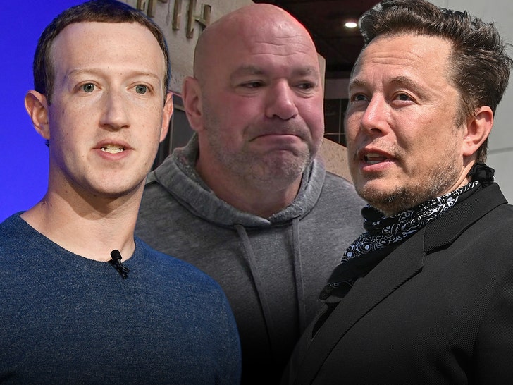 dana white mark zuckerberg elon musk getty tmz 1