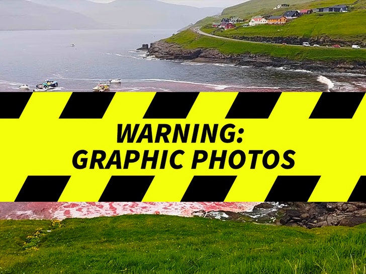 Faroe Islands’ Controversial Dolphin Slaughter – Graphic Content