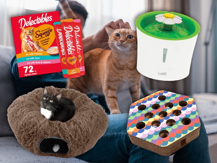 Amazon-Cat-Week-Launch-PRIMARY