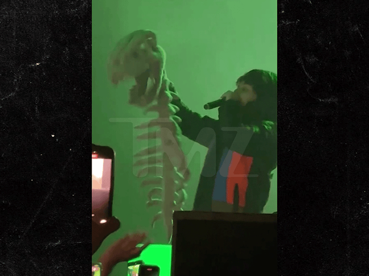 112425_xaviersobased_ksuuvi_skeleton_primary