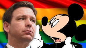 Gov. Ron DeSantis Calls Disney 'Woke' Over 'Don't Say Gay' Bill Pushback