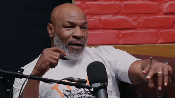 Mike Tyson Addresses Airplane Confrontation, 'He was f***ing with Me!'.jpg
