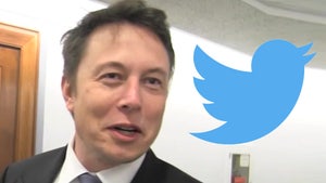 Elon Musk Agrees to Original $44B Twitter Deal