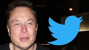 Elon Musk Suspending Twitter Accounts For Reporters Who Cover Him
