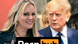Stormy Daniels Pornhub Searches Reach All-Time High On Day Donald Trump Arrested
