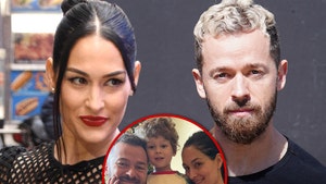 nikki bella and artem chigvintsev