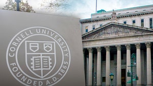 cornell university and manhattan ny state supreme court getty 1