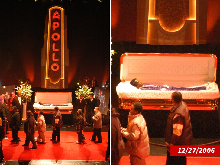 0213 james brown casket viewing splash