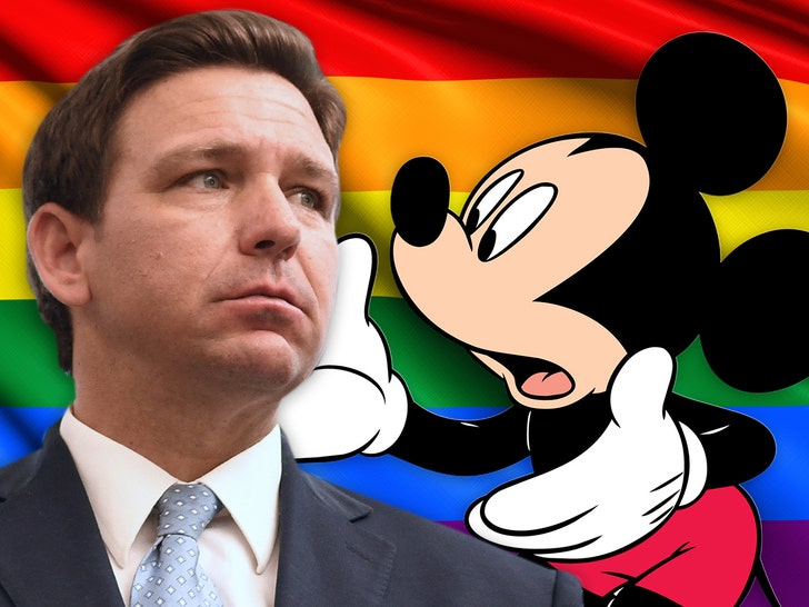 Gov. Ron DeSantis Calls Disney 'Woke' Over 'Don't Say Gay' Bill Pushback