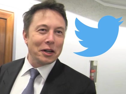 elon musk TWITTER