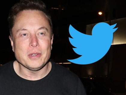 1215 elon musk twitter getty