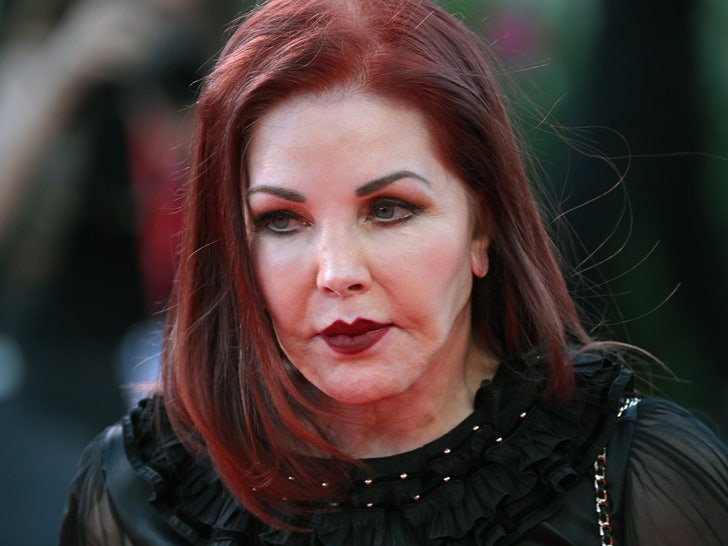 Priscilla Presley Sues Ex-Business Associates For Financial Elder Abuse