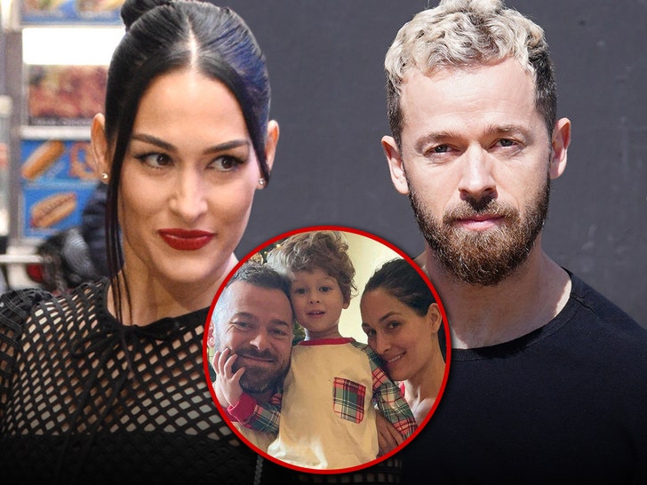 nikki bella and artem chigvintsev