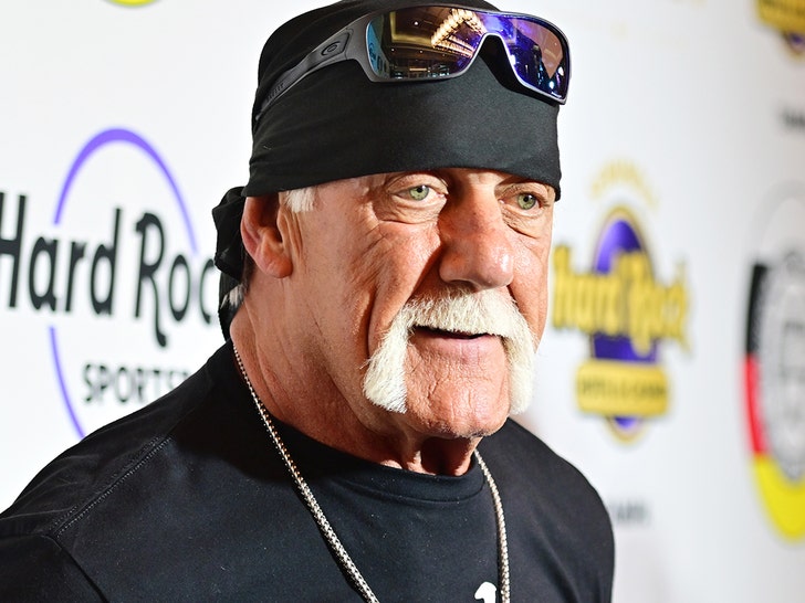 Hulk Hogan Main Etty