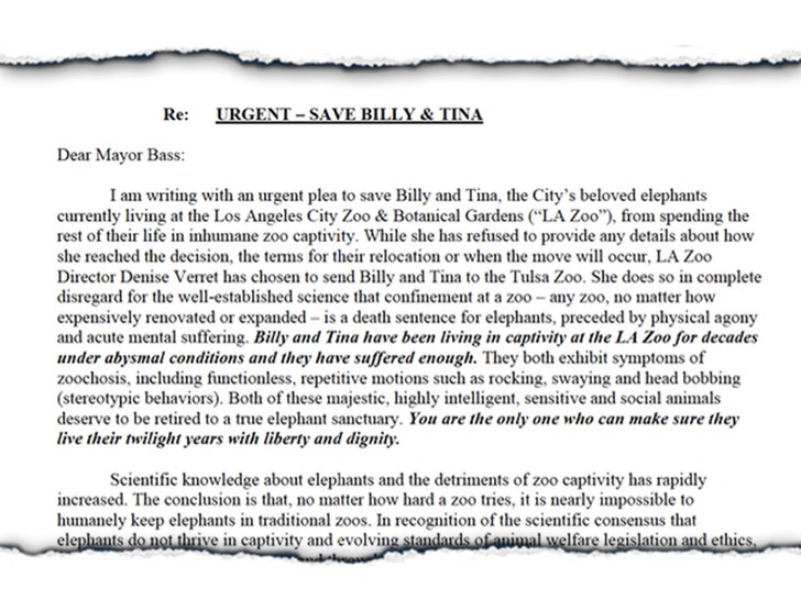 save billy and tina doc launch 1