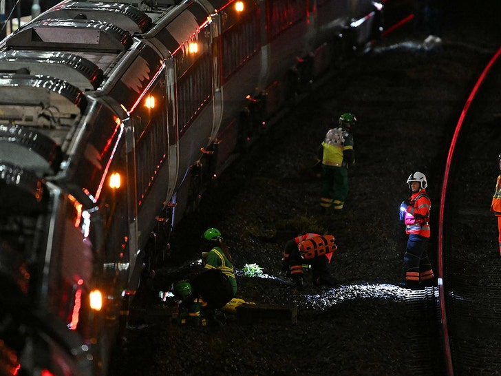 Anglie-vlak-bodnutí-getty-3