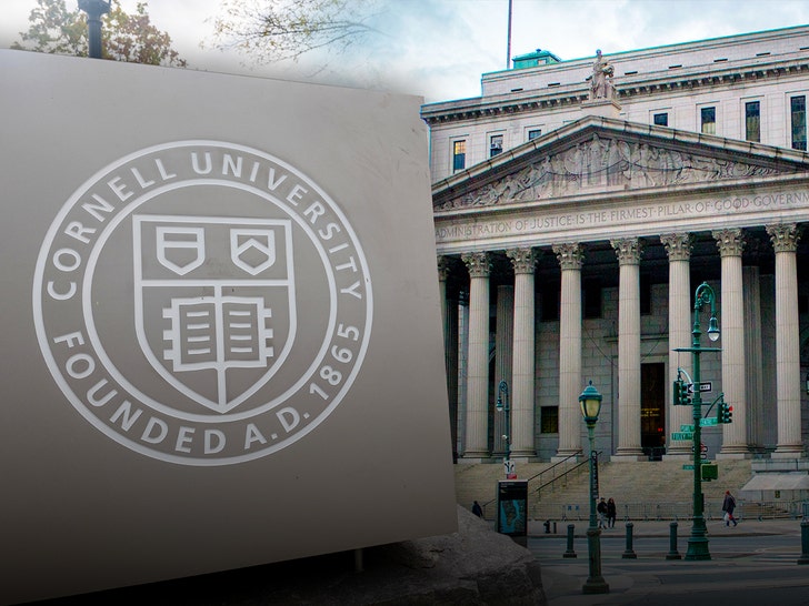 cornell university and manhattan ny state supreme court getty 1