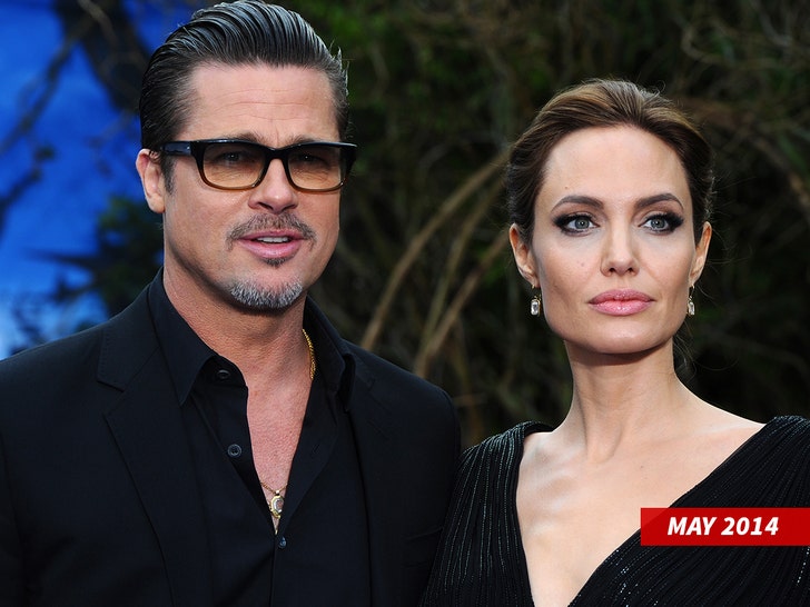 Brad Pitt Sources Say Angelina Jolie Has Poisoned Their Kids to