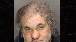 Artie Lange Flying Private Jet to Rehab After Pleading Guilty (UPDATE)