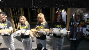Kim Basinger and Priscilla Presley Use Dead Dogs to Protest Korea's Dog Meat Trade