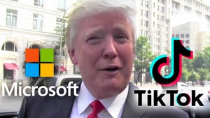 Microsoft Confirms Plans to Pursue Buying TikTok After Chat with Trump