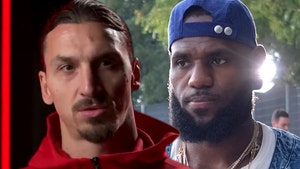 Zlatan Ibrahimovic Says LeBron Should Stay Out Of Politics, 'Do What You're Good At'