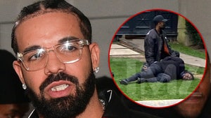 Drake's Security Takes Down Third Alleged Trespasser at Toronto Home