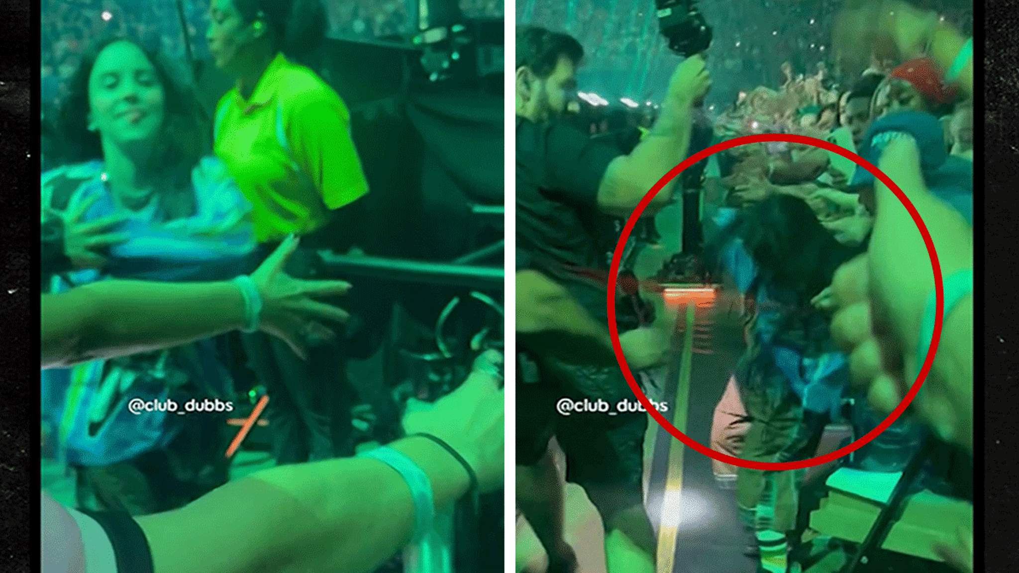 Billie Eilish Violently Grabbed By Fan During Miami Concert