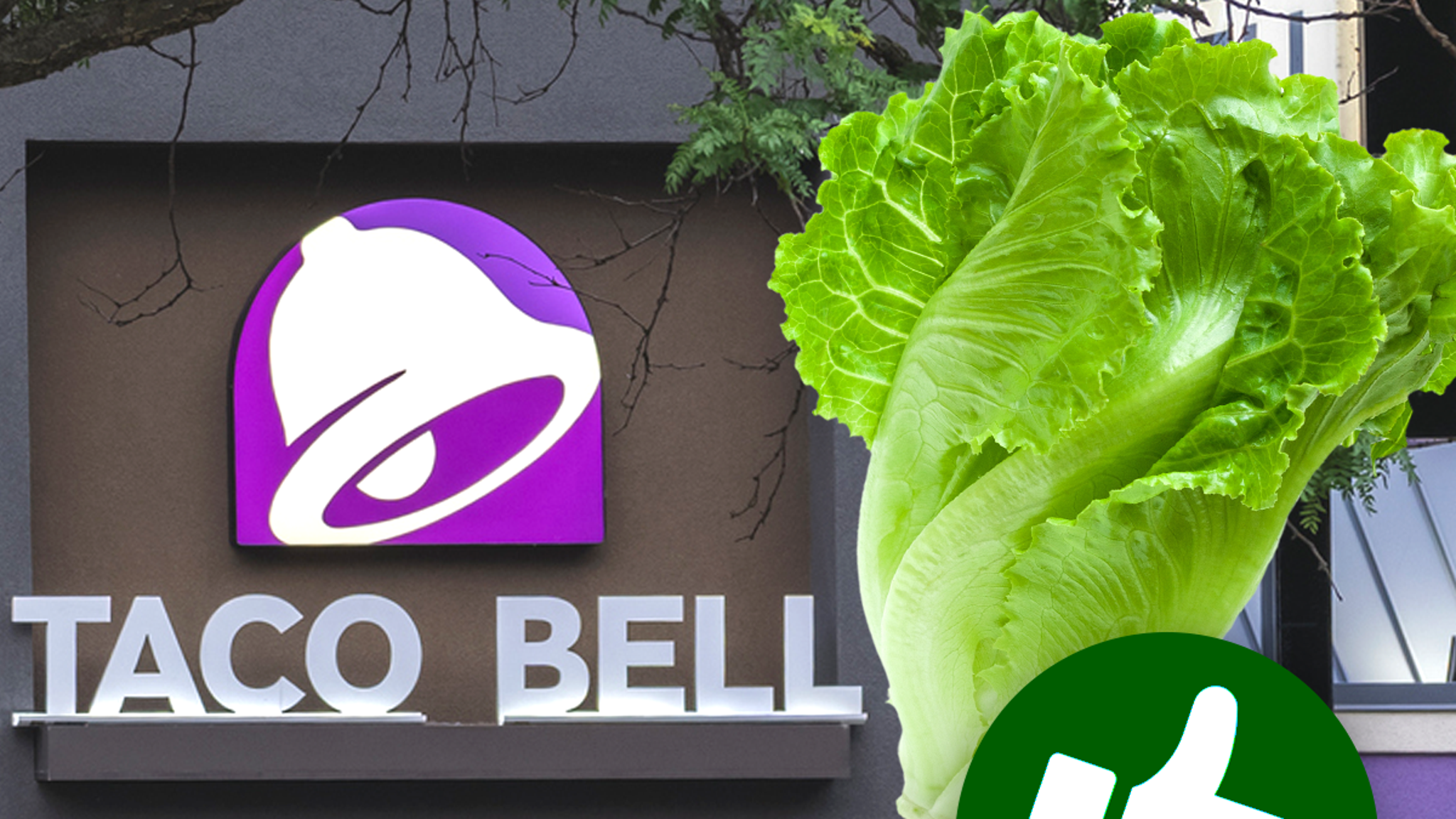 Taco Bell khẳng định an toàn thực phẩm sau đợt bùng phát bệnh ký sinh trùng cyclosporiasis