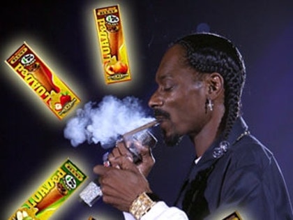 Snoop Doggy Dogg