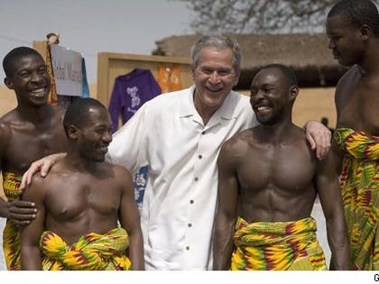Bush in Africa