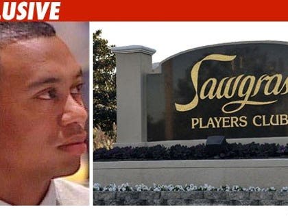 Red Alert for Tiger Woods Mea Culpa