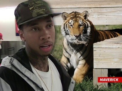 0729-tyga-and-maverick-the-tiger-TMZ-01