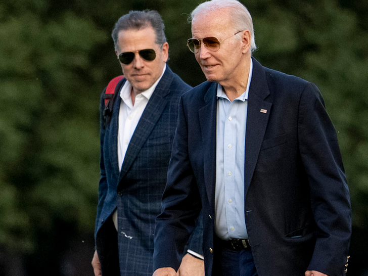 biden and hunter