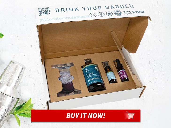 Organik-Mocktail-Kit-oleh-Bluestem-Botanicals-MAIN