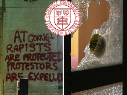 cornell vandalism Varsha Bhargava - The Cornell Daily Sun 5
