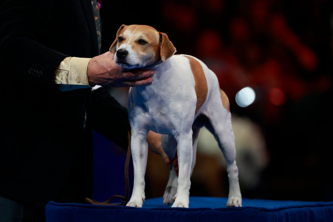 GettyImages-2247740685
