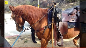 L.A. Dodgers -- PIT BULL BITES POLICE HORSE ... Outside Dodgers Stadium