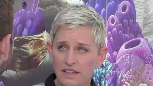 Ellen DeGeneres' New Carpinteria Home Under Threat of Wildfires (UPDATE)