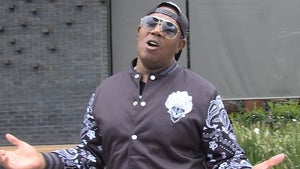 Master P Says He Should Be the Next Raptors Coach, Here's Why