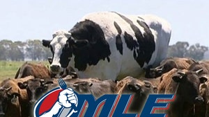 Major League Eating Wants To Devour Knickers, the 2,800-Pound Steer