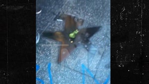 Trump's Hollywood Walk of Fame Star Vandalized, Blacked Out & 'BLM'