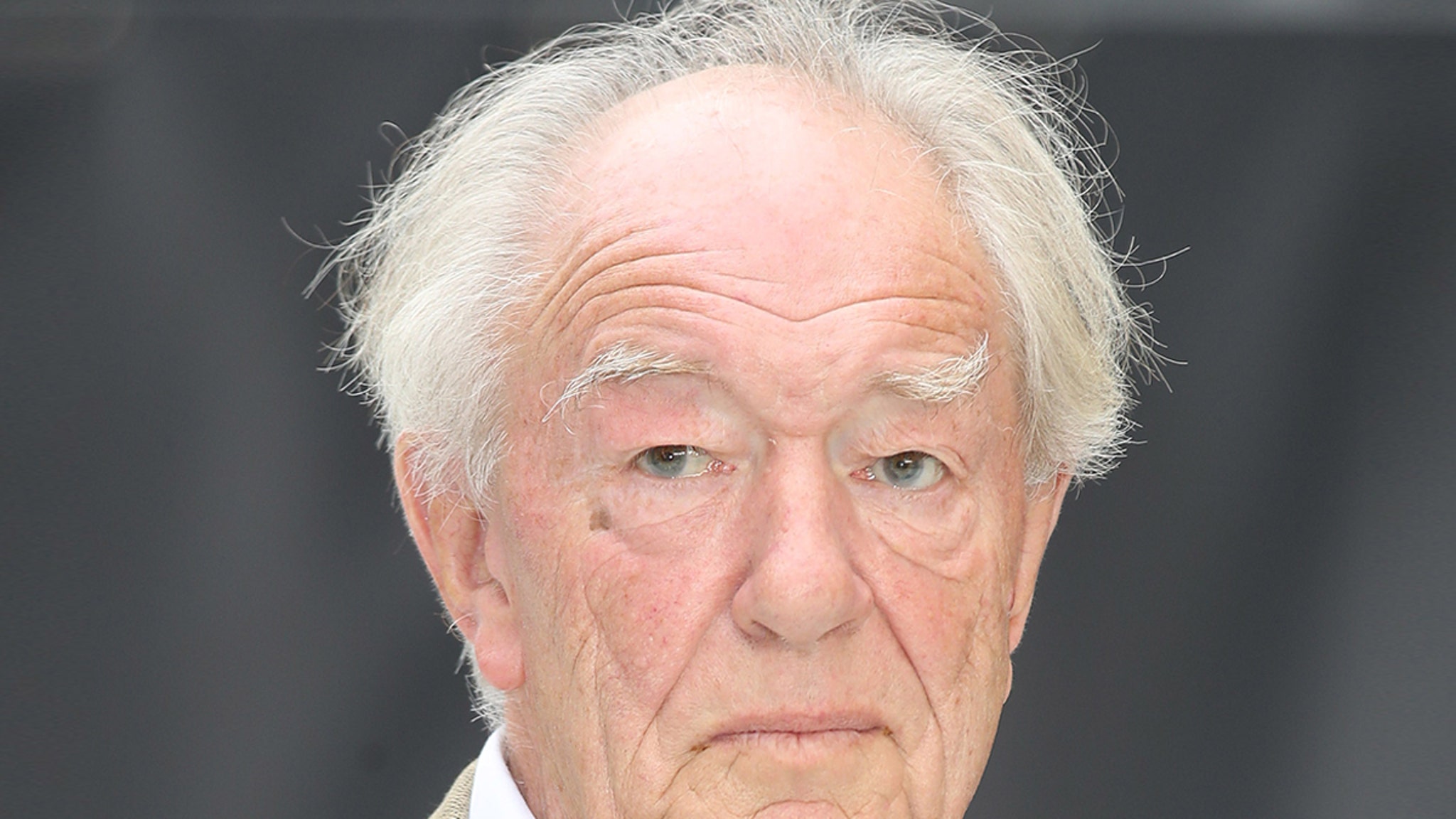 Michael Gambon Protagonista De Harry Potter Muere A Los 82 A os