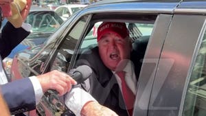 Donald Trump Impersonator Draws Huge Crowd at NYC Rally Post-Conviction